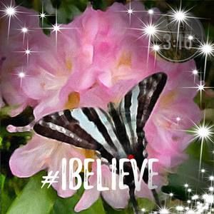 Meet your Posher, Rita